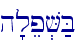 h'lep.V;B
