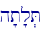 h't'l.T