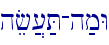hef][;T-h;mW