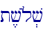 t,v{l.v