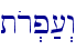 tor.p;[>w