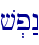 v.p:n\