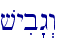 vyib"g>w
