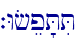 `Wfep'TiT